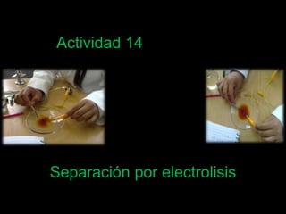 Actividad 14 Separación por electrolisis  