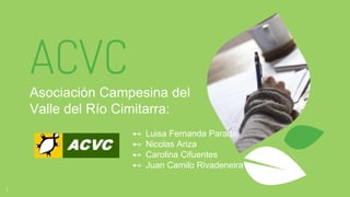ACVCAsociación Campesina del
Valle del Río Cimitarra:
1
⊷ Luisa Fernanda Parada
⊷ Nicolas Ariza
⊷ Carolina Cifuentes
⊷ Juan Camilo Rivadeneira
 