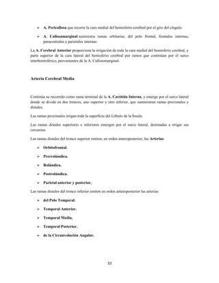 10
 A. Pericallosa que recorre la cara medial del hemisferio cerebral por el giro del cíngulo.
 A. Callosamarginal suministra ramas orbitarias, del polo frontal, frontales internas,
paracentrales y parietales internas
La A. Cerebral Anterior proporciona la irrigación de toda la cara medial del hemisferio cerebral, y
parte superior de la cara lateral del hemisferio cerebral por ramos que continúan por el surco
interhemisférico, provenientes de la A. Callosomarginal.
Arteria Cerebral Media
Continúa su recorrido como rama terminal de la A. Carótida Interna, y emerge por el surco lateral
donde se divide en dos troncos, uno superior y otro inferior, que suministran ramas proximales y
distales.
Las ramas proximales irrigan toda la superficie del Lóbulo de la Ínsula.
Las ramas distales superiores e inferiores emergen por el surco lateral, destinadas a irrigar sus
cercanías.
Las ramas distales del tronco superior emiten, en orden anteroposterior, las Arterias:
 Orbitofrontal.
 Prerrolándica.
 Rolándica.
 Postrolándica.
 Parietal anterior y posterior.
Las ramas distales del tronco inferior emiten en orden anteroposterior las arterias:
 del Polo Temporal.
 Temporal Anterior.
 Temporal Media.
 Temporal Posterior.
 de la Circunvolución Angular.
 