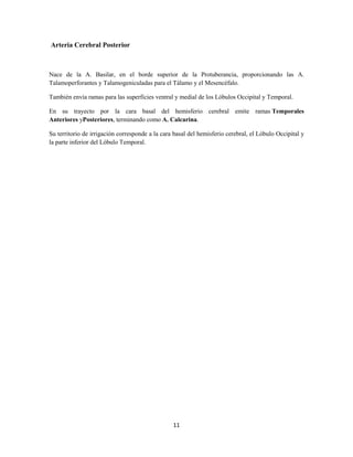 11
Arteria Cerebral Posterior
Nace de la A. Basilar, en el borde superior de la Protuberancia, proporcionando las A.
Talamoperforantes y Talamogeniculadas para el Tálamo y el Mesencéfalo.
También envía ramas para las superficies ventral y medial de los Lóbulos Occipital y Temporal.
En su trayecto por la cara basal del hemisferio cerebral emite ramas Temporales
Anteriores yPosteriores, terminando como A. Calcarina.
Su territorio de irrigación corresponde a la cara basal del hemisferio cerebral, el Lóbulo Occipital y
la parte inferior del Lóbulo Temporal.
 