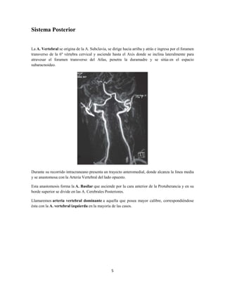 5
Sistema Posterior
La A. Vertebral se origina de la A. Subclavia, se dirige hacia arriba y atrás e ingresa por el foramen
transverso de la 6º vértebra cervical y asciende hasta el Axis donde se inclina lateralmente para
atravesar el foramen transverso del Atlas, penetra la duramadre y se sitúa en el espacio
subaracnoideo.
Durante su recorrido intracraneano presenta un trayecto anteromedial, donde alcanza la línea media
y se anastomosa con la Arteria Vertebral del lado opuesto.
Esta anastomosis forma la A. Basilar que asciende por la cara anterior de la Protuberancia y en su
borde superior se divide en las A. Cerebrales Posteriores.
Llamaremos arteria vertebral dominante a aquella que posea mayor calibre, correspondiéndose
ésta con la A. vertebral izquierda en la mayoría de las casos.
 