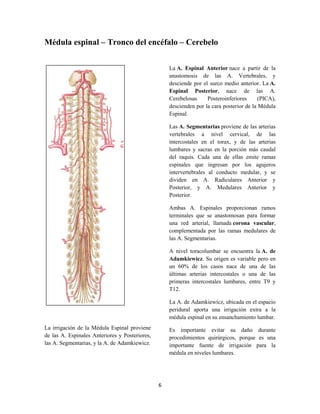 6
Médula espinal – Tronco del encéfalo – Cerebelo
La irrigación de la Médula Espinal proviene
de las A. Espinales Anteriores y Posteriores,
las A. Segmentarias, y la A. de Adamkiewicz.
La A. Espinal Anterior nace a partir de la
anastomosis de las A. Vertebrales, y
desciende por el surco medio anterior. La A.
Espinal Posterior, nace de las A.
Cerebelosas Posteroinferiores (PICA),
descienden por la cara posterior de la Médula
Espinal.
Las A. Segmentarias proviene de las arterias
vertebrales a nivel cervical, de las
intercostales en el torax, y de las arterias
lumbares y sacras en la porción más caudal
del raquis. Cada una de ellas emite ramas
espinales que ingresan por los agujeros
intervertebrales al conducto medular, y se
dividen en A. Radiculares Anterior y
Posterior, y A. Medulares Anterior y
Posterior.
Ambas A. Espinales proporcionan ramos
terminales que se anastomosan para formar
una red arterial, llamada corona vascular,
complementada por las ramas medulares de
las A. Segmentarias.
A nivel toracolumbar se encuentra la A. de
Adamkiewicz. Su origen es variable pero en
un 60% de los casos nace de una de las
últimas arterias intercostales o una de las
primeras intercostales lumbares, entre T9 y
T12.
La A. de Adamkiewicz, ubicada en el espacio
peridural aporta una irrigación extra a la
médula espinal en su ensanchamiento lumbar.
Es importante evitar su daño durante
procedimientos quirúrgicos, porque es una
importante fuente de irrigación para la
médula en niveles lumbares.
 