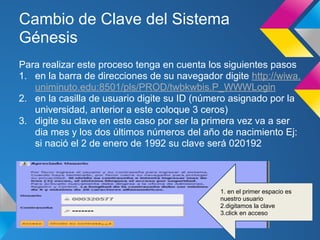 Cambio de Clave del Sistema
Génesis
Para realizar este proceso tenga en cuenta los siguientes pasos
1. en la barra de direcciones de su navegador digite http://wiwa.
uniminuto.edu:8501/pls/PROD/twbkwbis.P_WWWLogin
2. en la casilla de usuario digite su ID (número asignado por la
universidad, anterior a este coloque 3 ceros)
3. digite su clave en este caso por ser la primera vez va a ser
dia mes y los dos últimos números del año de nacimiento Ej:
si nació el 2 de enero de 1992 su clave será 020192
1. en el primer espacio es
nuestro usuario
2.digitamos la clave
3.click en acceso
 