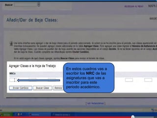 En estos cuadros vas a
escribir los NRC de las
asignaturas que vas a
inscribir para este
periodo académico.
 