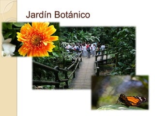 Jardín Botánico
 