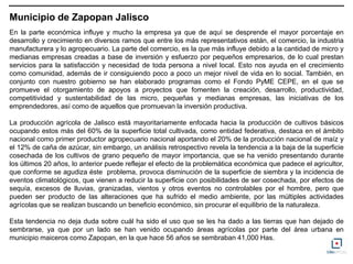 Municipio de Zapopan Jalisco
En la parte económica influye y mucho la empresa ya que de aquí se desprende el mayor porcentaje en
desarrollo y crecimiento en diversos ramos que entre los más representativos están, el comercio, la industria
manufacturera y lo agropecuario. La parte del comercio, es la que más influye debido a la cantidad de micro y
medianas empresas creadas a base de inversión y esfuerzo por pequeños empresarios, de lo cual prestan
servicios para la satisfacción y necesidad de toda persona a nivel local. Esto nos ayuda en el crecimiento
como comunidad, además de ir consiguiendo poco a poco un mejor nivel de vida en lo social. También, en
conjunto con nuestro gobierno se han elaborado programas como el Fondo PyME CEPE, en el que se
promueve el otorgamiento de apoyos a proyectos que fomenten la creación, desarrollo, productividad,
competitividad y sustentabilidad de las micro, pequeñas y medianas empresas, las iniciativas de los
emprendedores, así como de aquellos que promuevan la inversión productiva.

La producción agrícola de Jalisco está mayoritariamente enfocada hacia la producción de cultivos básicos
ocupando estos más del 60% de la superficie total cultivada, como entidad federativa, destaca en el ámbito
nacional como primer productor agropecuario nacional aportando el 20% de la producción nacional de maíz y
el 12% de caña de azúcar, sin embargo, un análisis retrospectivo revela la tendencia a la baja de la superficie
cosechada de los cultivos de grano pequeño de mayor importancia, que se ha venido presentando durante
los últimos 20 años, lo anterior puede reflejar el efecto de la problemática económica que padece el agricultor,
que conforme se agudiza éste problema, provoca disminución de la superficie de siembra y la incidencia de
eventos climatológicos, que vienen a reducir la superficie con posibilidades de ser cosechada, por efectos de
sequía, excesos de lluvias, granizadas, vientos y otros eventos no controlables por el hombre, pero que
pueden ser producto de las alteraciones que ha sufrido el medio ambiente, por las múltiples actividades
agrícolas que se realizan buscando un beneficio económico, sin procurar el equilibrio de la naturaleza.

Esta tendencia no deja duda sobre cuál ha sido el uso que se les ha dado a las tierras que han dejado de
sembrarse, ya que por un lado se han venido ocupando áreas agrícolas por parte del área urbana en
municipio maiceros como Zapopan, en la que hace 56 años se sembraban 41,000 Has.
 