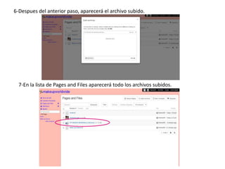 6-Despues del anterior paso, aparecerá el archivo subido.
7-En la lista de Pages and Files aparecerá todo los archivos subidos.
 