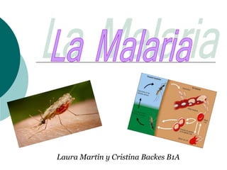 Laura Martín y Cristina Backes B1A
 