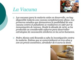 La Vacuna
 Las vacunas para la malaria están en desarrollo, no hay
disponible todavía una vacuna completamente eficaz. Los
primeros estudios que demuestran la posibilidad de una
vacuna contra el paludismo se realizaron en 1967 por la
inmunización de ratones. Desde la década de 1970, se ha
producido un considerable esfuerzo para desarrollar
estrategias de vacunación similares en los seres humanos.
 Pedro Alonso está llevando a cabo la investigación contra
la malaria. Estima que se comercializará en tres años y
con un precio económico, alrededor de 6 euros la dosis.
 