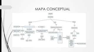 MAPA CONCEPTUAL
 