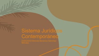 Sistema Jurídicos
Contemporáneo
222k25003 Brenda Berenice Sánchez
Méndez
 