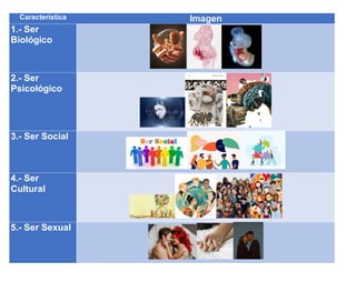 Característica Imagen
1.- Ser
Biológico
2.- Ser
Psicológico
3.- Ser Social
4.- Ser
Cultural
5.- Ser Sexual
 