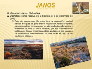 Áreas naturales protegidas de México | PPTX