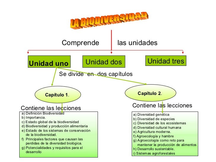 Actividad 2 de biodiversidad mapa conceptual