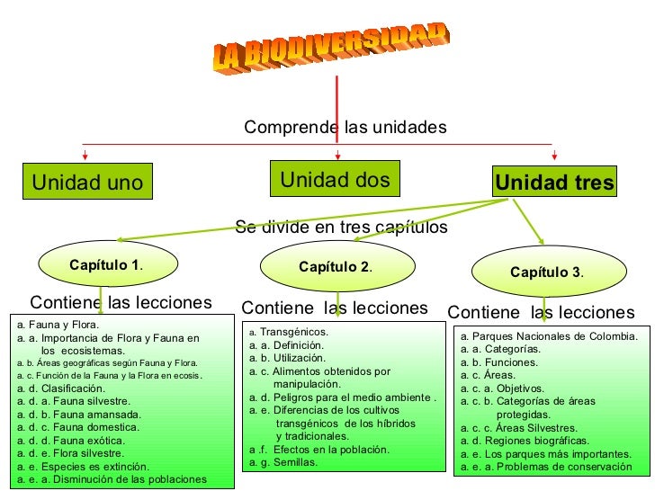 Actividad 2 de biodiversidad mapa conceptual