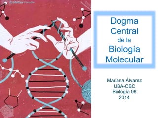 Dogma 
Central 
de la 
Biología 
Molecular 
Mariana Álvarez 
UBA-CBC 
Biología 08 
2014 
By Matthew Forsythe 
 