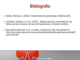 Bibliografía
 Alcázar, Moreno, A. (2010). Fundamentos de psicobiología. Editorial UOC.
 Castellano, Santana, E, et al. (2015). Biología general, Universidad de Las
Palmas de Gran Canaria. Servicio de Publicaciones y Difusión Científica.
 Recursostic.educacion (s.f.). La célula, unidad de la vida. Recuperado de
http://recursostic.educacion.es/secundaria/edad/4esobiologia/4quincena5/pdf/
quincena5.pdf
 