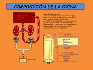 COMPOSICIÓN DE LA ORINA
 