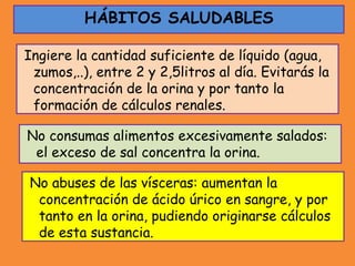 Ingiere la cantidad suficiente de líquido (agua,
zumos,..), entre 2 y 2,5litros al día. Evitarás la
concentración de la orina y por tanto la
formación de cálculos renales.
HÁBITOS SALUDABLES
No abuses de las vísceras: aumentan la
concentración de ácido úrico en sangre, y por
tanto en la orina, pudiendo originarse cálculos
de esta sustancia.
No consumas alimentos excesivamente salados:
el exceso de sal concentra la orina.
 