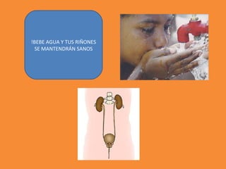 !BEBE AGUA Y TUS RIÑONES
SE MANTENDRÁN SANOS
 