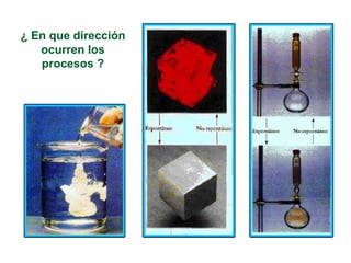 ¿ En que dirección
ocurren los
procesos ?
 