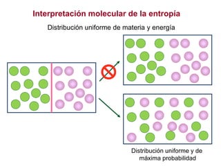 Distribución uniforme de materia y energía
Distribución uniforme y de
máxima probabilidad
Interpretación molecular de la entropía
 