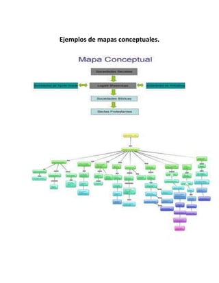 Ejemplos de mapas conceptuales.

 