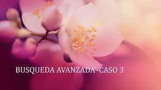 BUSQUEDA AVANZADA'-CASO 3
 