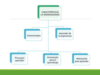 CARACTERÍSTICAS
LA ANDRAGOGÍADE
Autoconcepto
Aprender de
la experiencia
Prisa para
aprender
Orientación
para el
aprendizaje
Motivación
para aprender
 