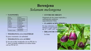 Berenjena
Solanum melongena
• TAXONOMÍA
• TOLERANCIA A LA SALINIDAD
Es poco resistente a la salinidad.
• TOLERANCIA A LAACIDEZ
Es de una acidez moderada con un PH de 6 a
7 , pero se puede establecer en suelos hasta
con un PH de 8,5.
• CENTRO DE ORIGEN
Originaria de las zonas tropicales y
subtropicales asiáticas,
especialmente China
• CLASIFICACIÓN TÉRMICA
Es muy tolerante a la variedad
térmica ya que resiste temperaturas
de 12 ° a 40° y 45° centígrados.
• ÓRGANO DE CONSUMO
La fruta
Reino Plantae
División Magnoliophyta
Clase Magnoliopsida
Orden Solanales
Familia Solanaceae
Género Solanum
Especie S. melongena
Nombre científico Solanum
melongena
Nombre común Berenjenas
 