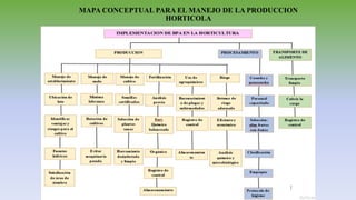 MAPA CONCEPTUAL PARA EL MANEJO DE LA PRODUCCION
HORTICOLA
 