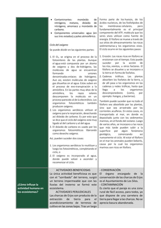 • Contaminantes: monóxido de
nitrógeno, metano, dióxido de
nitrógeno, amoniaco y monóxido de
carbono.
• Componentes universales: agua (en
sus tres estados) y polvo atmosférico.
Ciclo del oxígeno
Se puede dividir en las siguientes partes:
1. El O2, se origina en el proceso de la
fotosíntesis de las plantas. Aunque
el agua está compuesta por un átomo
de oxígeno y dos de hidrógeno, las
moléculas de agua se encuentran
formando uniones
denominadas enlaces de hidrógeno.
Aun así, existen moléculas de oxígeno
gas disueltas en el agua. Estas suben en
el proceso de evo-transpiración a la
atmósfera. En las partes muy altas de la
atmósfera, los rayos solares
descomponen la molécula en un
proceso parecido al de la electrólisis. Los
organismos fotosintéticos también
producen oxígeno.
2. Los organismos aeróbicos utilizan el
oxígeno para la respiración, desechando
así dióxido de carbono. Es por esto que
se dice que el ciclo del oxígeno está muy
ligado al del carbono y al del agua.
3. El dióxido de carbono es usado por los
organismos fotosintéticos liberando
como desecho oxígeno.
Así, pueden suceder dos cosas:
1. Los organismos aeróbicos lo reutilizan y
luego los fotosintéticos, completando el
ciclo, o
2. El oxígeno es incorporado al agua,
donde puede volver a ascender y
recomenzar el ciclo.
Forma parte de los huesos, de los
ácidos nucleicos, de los fosfolípidos de
las membranas celulares, pero
fundamentalmente es el principal
componente del ATP, molécula que los
seres vivos utilizan como fuente de
energía. El fósforo se mueve a través de
sus sitios de almacenamiento: las rocas
sedimentarias y los organismos vivos.
El ciclo ocurre en los siguientes pasos:
1. Erosión. Las rocas ricas en fósforo se
erosionan con el tiempo. Esto puede
suceder por la acción de
los ríos, vientos, u otros factores. El
fósforo se disuelve y se incorpora a
la tierra en forma de fosfatos.
2. Cadenas tróficas. Las plantas
absorben los fosfatos de la tierra, y
de allí pasa a los organismos en las
cadenas y redes tróficas, hasta que
llega a los organismos
descomponedores (como, por
ejemplo: hongos, y bacterias).
También puede suceder que no todo el
fósforo sea absorbido por las plantas,
sino que sea arrastrado por las
corrientes acuíferas. En estos casos, es
transportado al mar, en donde es
depositado junto con los sedimentos
marinos, en el fondo del océano. Luego
de varios años, se incorpora a las rocas
que más tarde pueden subir a la
superficie por algún fenómeno
geológico, comenzando así
nuevamente el ciclo. Al estar el fósforo
en el mar los animales pueden beberlo,
causa por la cual los organismos
marinos son ricos en fósforo.
¿Cómo influye la
actividad humana en
los ecosistemas?
ACTIVIDADES BENEFICIOSAS
La única actividad beneficiosa es que
con el “sorribado” del terreno, surgió
un terreno impermeable que con las
lluvias del invierno se formó este
ecosistema.
ACTIVIDADES PERJUDICIALES
Las charcas de Erjos son producto de la
extracción de tierra para el
acondicionamiento de terrenos de
cultivo en las zonas bajas. Tras un largo
- CONSERVACIÓN
El órgano encargado de la
conservación de las charcas de Erjos
es el Ayuntamiento de Los Silos.
- CONTAMINACIÓN
Es cierto que el paraje es una zona
rural de fácil acceso, para todos, ya
que dispone de una carretera de
tierra para llegar a las charcas. No se
aprecia basura abandonada.
 