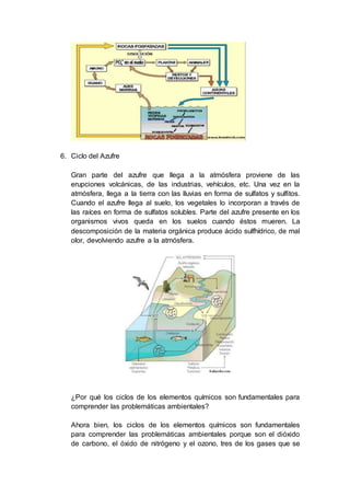 6. Ciclo del Azufre
Gran parte del azufre que llega a la atmósfera proviene de las
erupciones volcánicas, de las industrias, vehículos, etc. Una vez en la
atmósfera, llega a la tierra con las lluvias en forma de sulfatos y sulfitos.
Cuando el azufre llega al suelo, los vegetales lo incorporan a través de
las raíces en forma de sulfatos solubles. Parte del azufre presente en los
organismos vivos queda en los suelos cuando éstos mueren. La
descomposición de la materia orgánica produce ácido sulfhídrico, de mal
olor, devolviendo azufre a la atmósfera.
¿Por qué los ciclos de los elementos químicos son fundamentales para
comprender las problemáticas ambientales?
Ahora bien, los ciclos de los elementos químicos son fundamentales
para comprender las problemáticas ambientales porque son el dióxido
de carbono, el óxido de nitrógeno y el ozono, tres de los gases que se
 