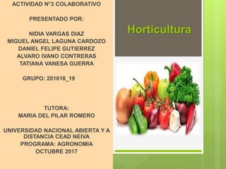 Horticultura
ACTIVIDAD N°3 COLABORATIVO
PRESENTADO POR:
NIDIA VARGAS DIAZ
MIGUEL ANGEL LAGUNA CARDOZO
DANIEL FELIPE GUTIERREZ
ALVARO IVANO CONTRERAS
TATIANA VANESA GUERRA
GRUPO: 201618_19
TUTORA:
MARIA DEL PILAR ROMERO
UNIVERSIDAD NACIONAL ABIERTA Y A
DISTANCIA CEAD NEIVA
PROGRAMA: AGRONOMIA
OCTUBRE 2017
 