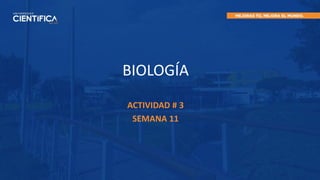 BIOLOGÍA
ACTIVIDAD # 3
SEMANA 11
 
