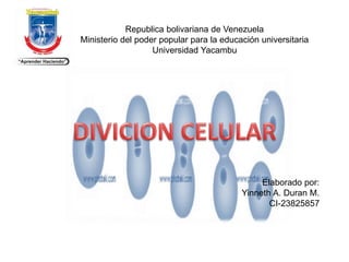 Republica bolivariana de Venezuela
Ministerio del poder popular para la educación universitaria
Universidad Yacambu
Elaborado por:
Yinneth A. Duran M.
CI-23825857
 
