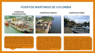 Buenaventura, el principal puerto colombiano en el Pacífico —
mueve más del 53 % del comercio internacional del país— es
de rada abierta, una bahía donde las embarcaciones pueden
estar ancladas al abrigo de los vientos. El territorio municipal,
con 607.800 hectáreas, es el de mayor extensión en el Valle
del Cauca; abarcando desde las orillas del Océano Pacífico,
hasta los Farallones de Cali, en la cordillera Occidental. Está
ubicado en el departamento del Valle
Turbo es el puerto del Caribe más cercano al centro del
país. Es un puerto internacional, cuyas operaciones se
desarrollan en fondeo, dada la ausencia de instalaciones
portuarias por la geografía del Golfo de Urabá. Surte de
banano a todos los países del mundo y es también un
puerto fluvial de la cuenca del rio Atrato que se comunica
con Quibdó y otros puertos intermedios. Como puerto de
cabotaje sostiene un comercio regular con Cartagena, las
costas del Urabá chocoano, Panamá y Costa Rica. Ubicado
en el departamento de Antioquia
El puerto de Tumaco, en la costa de Nariño, se
ubica a 300 km de Pasto, cerca de la frontera con
Ecuador. Es considerado el segundo puerto más
importante sobre el Pacifico colombiano, después
de Buenaventura. Cerca de sus costas, mar
adentro, se encuentra la zona de subducción del
Pacifico, en donde colisionan las placas de Nazca y
Sudamericana, lo cual ocasiona grandes sismos,
potenciales generadores de tsunamis. Ubicado en
el departamento de Nariño
PUERTOS MARITIMOS DE COLOMBIA
PUERTO DE
BUENAVENTURA
PUERTO DETUMACO PUERTO DETURBO
 