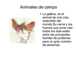 Animales de campo ,[object Object]