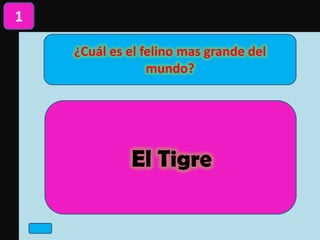 ¿Cuál es el felino mas grande del
mundo?
1
El Tigre
 