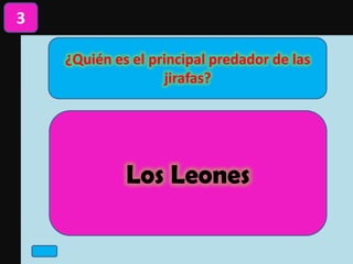 ¿Quién es el principal predador de las
jirafas?
3
Los Leones
 