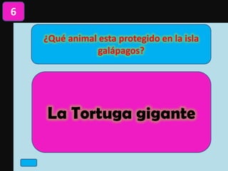 ¿Qué animal esta protegido en la isla
galápagos?
6
La Tortuga gigante
 