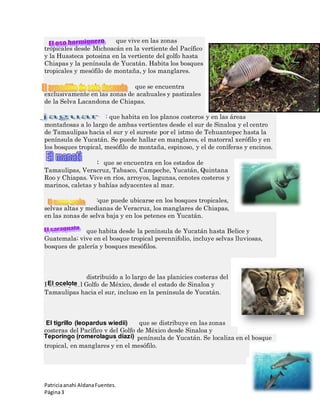 que vive en las zonas 
tropicales desde Michoacán en la vertiente del Pacífico 
y la Huasteca potosina en la vertiente del golfo hasta 
Chiapas y la península de Yucatán. Habita los bosques 
tropicales y mesófilo de montaña, y los manglares. 
El ocelote 
El tigrillo (leopardus wiedii) 
Patricia anahi Aldana Fuentes. 
Página 3 
que se encuentra 
exclusivamente en las zonas de acahuales y pastizales 
de la Selva Lacandona de Chiapas. 
: que habita en los planos costeros y en las áreas 
montañosas a lo largo de ambas vertientes desde el sur de Sinaloa y el centro 
de Tamaulipas hacia el sur y el sureste por el istmo de Tehuantepec hasta la 
península de Yucatán. Se puede hallar en manglares, el matorral xerófilo y en 
los bosques tropical, mesófilo de montaña, espinoso, y el de coníferas y encinos. 
: que se encuentra en los estados de 
Tamaulipas, Veracruz, Tabasco, Campeche, Yucatán, Quintana 
Roo y Chiapas. Vive en ríos, arroyos, lagunas, cenotes costeros y 
marinos, caletas y bahías adyacentes al mar. 
:que puede ubicarse en los bosques tropicales, 
selvas altas y medianas de Veracruz, los manglares de Chiapas, 
en las zonas de selva baja y en los petenes en Yucatán. 
que habita desde la península de Yucatán hasta Belice y 
Guatemala; vive en el bosque tropical perennifolio, incluye selvas lluviosas, 
bosques de galería y bosques mesófilos. 
distribuido a lo largo de las planicies costeras del 
Pacífico y del Golfo de México, desde el estado de Sinaloa y 
Tamaulipas hacia el sur, incluso en la península de Yucatán. 
que se distribuye en las zonas 
costeras del Pacífico y del Golfo de México desde Sinaloa y 
Tamaulipas hacia el sur y en la península de Yucatán. Se localiza en el bosque 
tropical, en manglares y en el mesófilo. 
Teporingo (romerolagus diazi) 
 