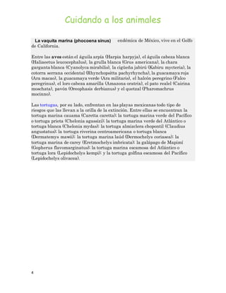 Cuidando a los animales 
, endémica de México, vive en el Golfo 
de California. 
Entre las aves están el águila arpía (Harpia harpyja), el águila cabeza blanca 
(Haliaeetus leucocephalus), la grulla blanca (Grus americana), la chara 
garganta blanca (Cyanolyca mirabilis), la cigüeña jabirú (Kabiru mycteria), la 
cotorra serrana occidental (Rhynchopsitta pachyrhyncha), la guacamaya roja 
(Ara macao), la guacamaya verde (Ara militaris), el halcón peregrino (Falco 
peregrinus), el loro cabeza amarilla (Amazona oratrix), el pato realel (Cairina 
moschata), pavón (Oreophasis derbianus) y el quetzal (Pharomachrus 
mocinno). 
Las tortugas, por su lado, enfrentan en las playas mexicanas todo tipo de 
riesgos que las llevan a la orilla de la extinción. Entre ellas se encuentran la 
tortuga marina cauama (Caretta caretta); la tortuga marina verde del Pacífico 
o tortuga prieta (Chelonia agassizi); la tortuga marina verde del Atlántico o 
tortuga blanca (Chelonia mydas); la tortuga almizclera chopontil (Claudius 
angustatus); la tortuga riverina centroamericana o tortuga blanca 
(Dermatemys mawii); la tortuga marina laúd (Dermochelys coriasea); la 
tortuga marina de carey (Eretmochelys imbricata); la galápago de Mapimí 
(Gopherus flavomarginatus); la tortuga marina escamosa del Atlántico o 
tortuga lora (Lepidochelys kempi); y la tortuga golfina escamosa del Pacífico 
(Lepidochelys olivacea). 
4 
La vaquita marina (phocoena sinus) 
