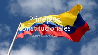 Principios
constitucionales
CRISTIAN CAMILO GIRALDO
 
