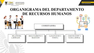 ORGANIGRAMA DEL DEPARTAMENTO
DE RECURSOS HUMANOS
 