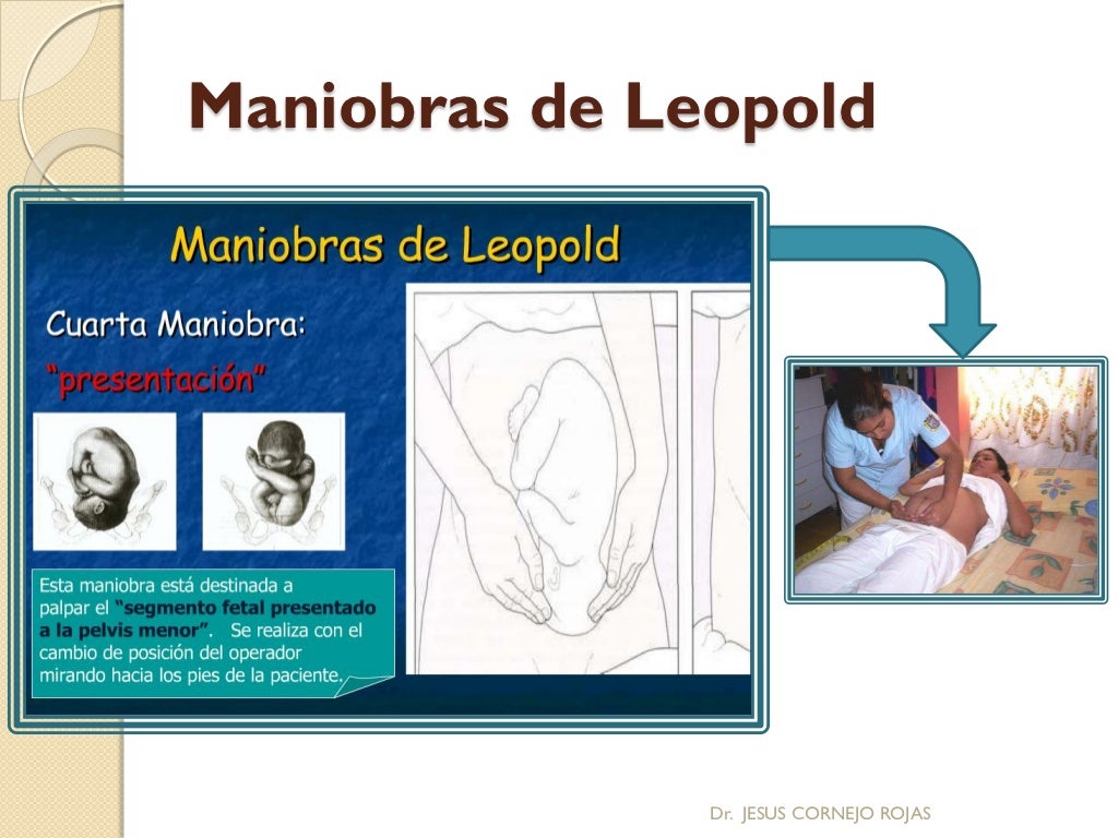 Maniobras de Leopold (PDF)