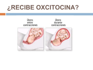 ¿RECIBE OXCITOCINA? 