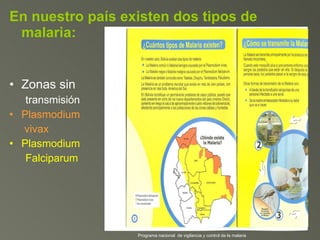 En nuestro país existen dos tipos de malaria: Zonas sin transmisión Plasmodium   vivax Plasmodium  Falciparum Programa nacional  de vigilancia y control de la malaria 