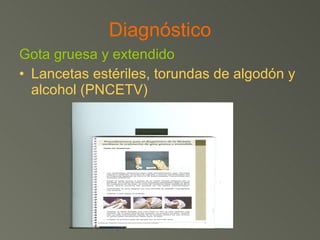 Diagnóstico Gota gruesa y extendido Lancetas estériles, torundas de algodón y alcohol (PNCETV) 