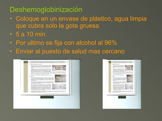 Deshemoglobinización Coloque en un envase de plástico, agua limpia que cubra solo la gota gruesa 5 a 10 min. Por ultimo se fija con alcohol al 96% Enviar al puesto de salud mas cercano 